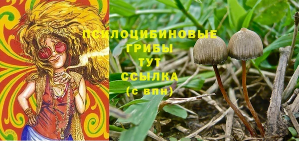 СК Гусиноозёрск