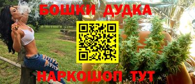 стафф Будённовск