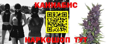 стафф Будённовск