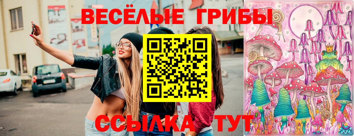 купить   Вход с VPN  Десногорск  Псилоцибиновые грибы мицелий 