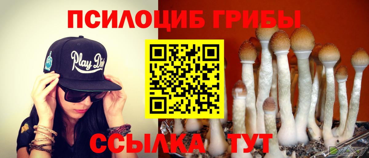 Псилоцибиновые грибы Cubensis  Десногорск  Галлюциногенные грибы прущие грибы 