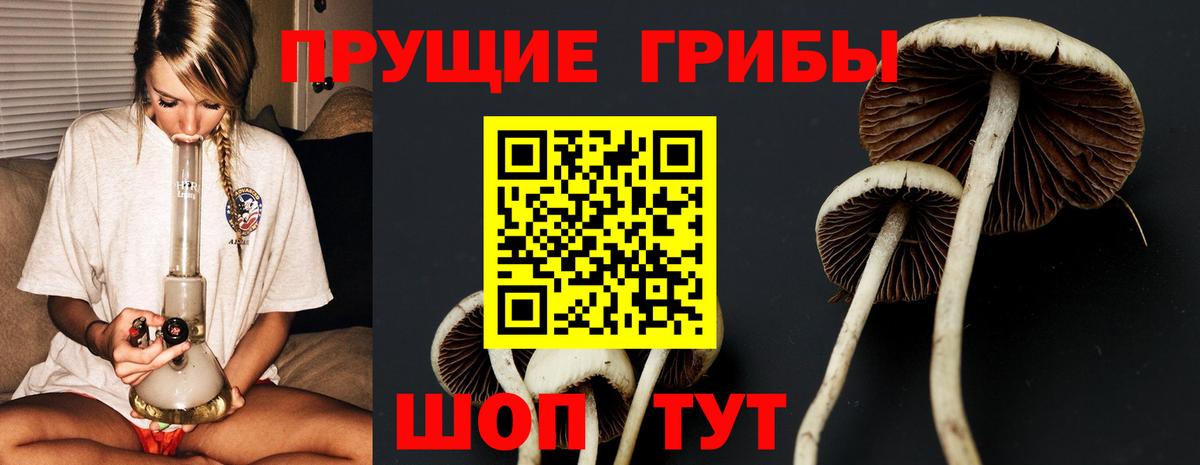 Псилоцибиновые грибы MAGIC MUSHROOMS Десногорск